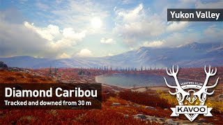 theHunter CotW Diamond Caribou  Yukon Valley [upl. by Notrub]