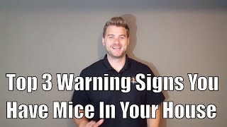 Top 3 Warning Signs You Have Mice In Your House [upl. by Newra]