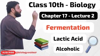 Class 10  Biology  Chapter 17  Lecture 2  Fermentation [upl. by Cruce40]