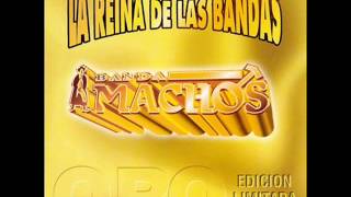 banda machos el mandilon [upl. by Gill632]