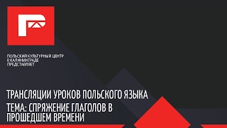 урок польского языка спряжение глаголов в прошедшем времени [upl. by Phyl]