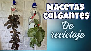 😍MACETAS PARA EPISCIAS muy exclusivas hechas con reciclajeLiliana Muñoz [upl. by Garrick]