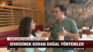 Sivrisinek kovan doğal yöntemler  atv Ana Haber [upl. by Aimerej]