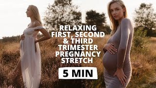 Pregnancy Stretch First Second Third Trimester Calm Relax  Nina Dapper [upl. by Arhna]