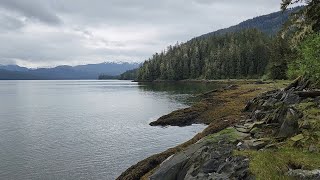 Alaska 2024 Scene 3  Wrangell Island Hiking Trails [upl. by Akcinahs595]