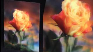 Lenticular printing 3d 100 lpi 06 mm [upl. by Sidonie]