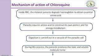 Chloroquine Mechanism of action [upl. by Dever659]