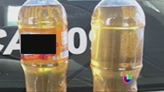 Nueva modalidad para transportar droga a Estados Unidos  Noticiero Univisión [upl. by Nyrad765]