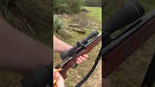 Winchester Model 70 Featherweight 243 Winchester Gone Hunting [upl. by Grevera]