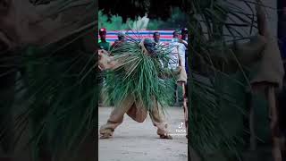 Casamance 🌲 buzz dance senegal ma culture casamance africa europe [upl. by Nananne]