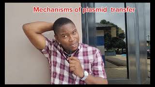 Mechanism of transfer in Plasmids [upl. by Ancel]