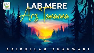 Lab Mere Arz Tamanna  Beautiful Kalam By Saifullah Shahwani  Lyrical Video  Tauheed Islamic [upl. by Claudetta503]