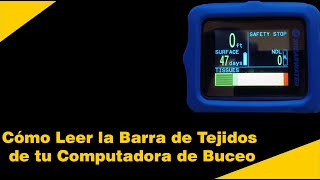 Cómo Leer el Compartimiento de Tejido de tu Computadora de Buceo [upl. by Brant]