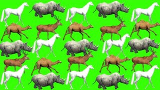 animal stampede part  1  animals stampede green screen  animal version  mammoth run [upl. by Odidnac]