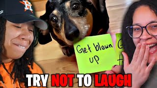 Unusual Try Not To Laugh Challenge [upl. by Yrellih]