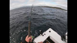 Jigging for Kingfish Shellharbour NSW [upl. by Grider]