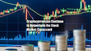 Cryptocurrencies Continue to Outperform the Stock Market Canaccord [upl. by Alfonse719]