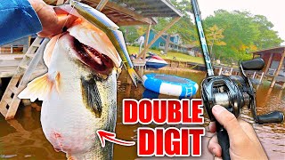 RECORD Day Swimbait Fishing a PUBLIC Lake Multiple Double Digit Bass [upl. by Roumell]