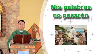 Mis palabras no pasarán  Padre Ricardo Prato [upl. by Ardnuyek209]