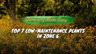 Gardening Made Easy Top 7 Picks for Low Maintenance Plants in Zone 6 🌻🌸🌷 [upl. by Gordon]