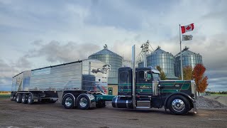 CUSTOM 359 Peterbilt Rolling Through the Lot [upl. by Brent705]