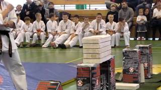 Kyokushin KarateTameshiwari [upl. by Trebliw7]