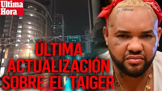 ‼️Última Hora sobre EL TAIGER 🔴Alain Paparazzi Cubano EN VIVO✅ [upl. by Kowalski]