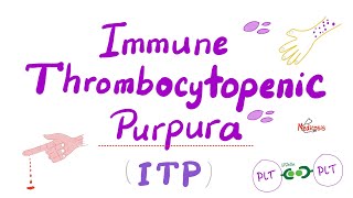 Immune Thrombocytopenia ITP — Most COMPREHENSIVE Explanation — Hematology [upl. by Ettezel]