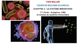 Chapitre 4  1ère Partie  Antigènes CMH et cellules du système immunitaire  Cours de Biologie [upl. by Sairtemed]