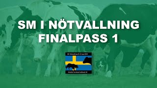 SM i Nötvallning 2024  Finalpass 1 [upl. by Nylsoj]