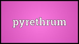 Pyrethrum Meaning [upl. by Leyla797]