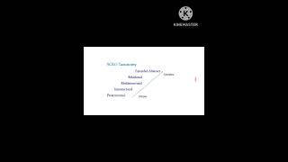 Levels of Solo Taxonomy  Curriculum Design  BSBscMsc students [upl. by Aicened464]