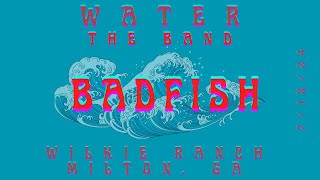 WATER  BADFISH COVER 71824 [upl. by Ydak]