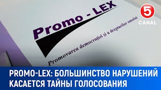 Promo Lex quotБольшинство нарушений касаются тайны голосованияquot [upl. by Fausta]