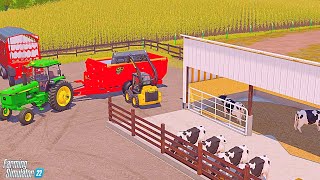 taking care of the holstein heifers  IOWA DAIRY  FS22 [upl. by Nilak542]