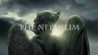 The Nephilim Trailer  JAYESS GENESIS SNAPSHOTS Buy Now wwwukgshopcom [upl. by Ikeda337]