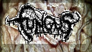 mincecore FUNGUS  VORACIOUS PRURITUS IN NECROTIC HARMONY DEMO MINCECORE 2024 GRINDCORE [upl. by Wolff]