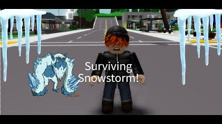 Surviving a Ice Storm In Brookhaven R [upl. by Anaibib184]