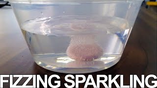 ASMR  Fizzing Sparkling Sounds Effervescent Tablet Still ASMR [upl. by Yntrok]