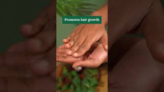 Ayurvedic Hair oil to Nourish Strengthen amp Shine hair ayurvedaorganichaircarehairgrowthproducts [upl. by Rolph]