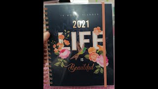 New 18 Month Planner from PNA  Full Flip Through ☺️ [upl. by Eveivenej]