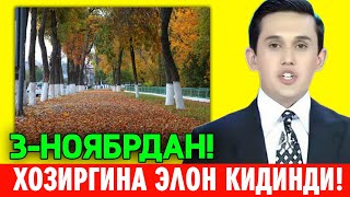 3НОЯБРДАН УЗБЕКИСТОНДА ОБХАВО ТАЙЁР ТУРИНГ [upl. by Dorrie]