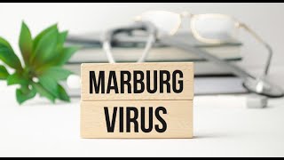 Marburg Virus Scare in Hamburg False Alarm [upl. by Aicena]