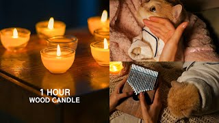 WOOD CANDLE Cant Help Falling In Love  1 Hour Relaxing Kalimba [upl. by Nivlek]