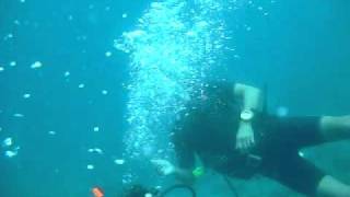 Scuba Diving in Puerto Galera Philippines [upl. by Chud93]