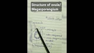 Structur and functions of ovule [upl. by Eizle918]