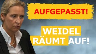 Alice Weidel räumt auf und der Bundestag tobt [upl. by Veats]