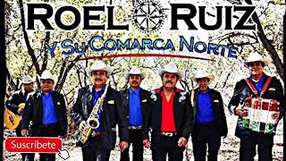 Roel Ruíz y Su Comarca Norte  Mix 2020 [upl. by Ferguson109]