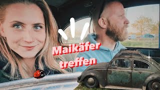 Waldkäfer  Maikäfertreffen 2023  Volkswagen  Hannover  Vlog [upl. by Ottilie]