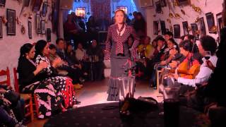 Flamenco Vivo Cueva de Sacromonte Granada Spain Teaser Part 2 [upl. by Ietta964]